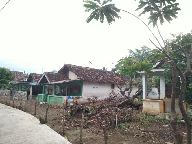 
					Luaskan Kebermanfaatan, LMI Salurkan Hewan Kurban di 5 Kecamatan Rawan Bencana, Miskin, dan Terpencil di Probolinggo