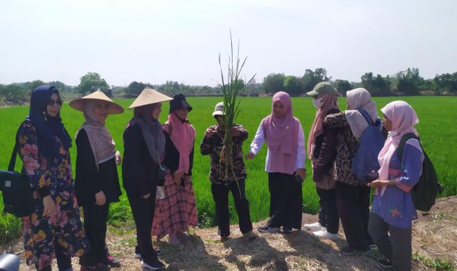 
					Pemdes Betiting Cerme Gandeng Kampus Negeri Jiran untuk Deteksi Penyakit Tanaman Melalui Smartphone