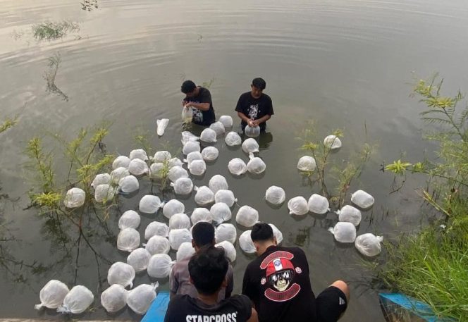 
					Dukung Swasembada Pangan, Pemdes Mojogede dan Kartar Setya Wibawa Tebar 71.500 Benih Ikan di Waduk
